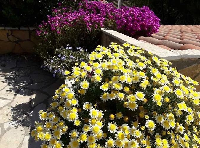 Despoina's Apartment *