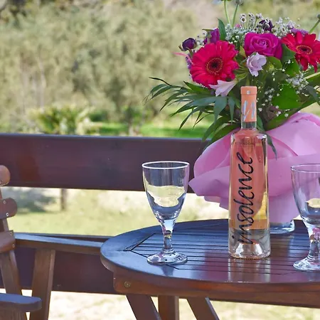 Despoina's 公寓 Vátos